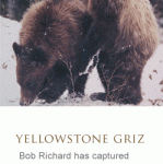 aboutbob_12-149×300