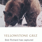 aboutbob_12-150×150