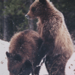 aboutbob_12-e1305565638710